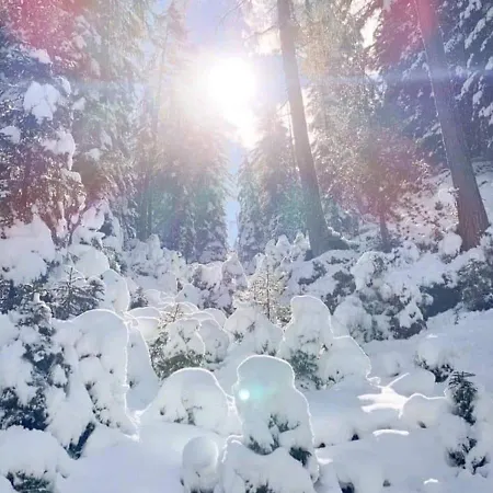 Gaesteheim Kroessbach Lägenhet