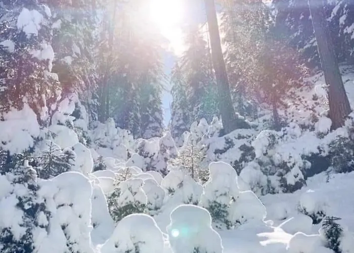 Gaesteheim Kroessbach Apartman